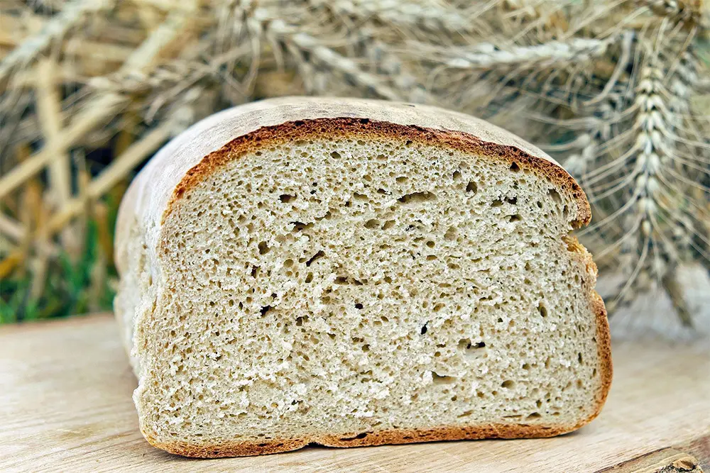 Pane alla quinoa senza glutine - Celiachia Milano